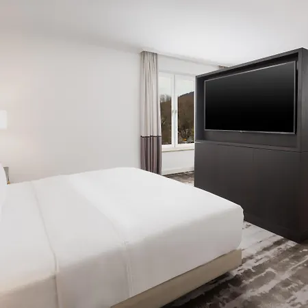 Hilton 4* היידלברג