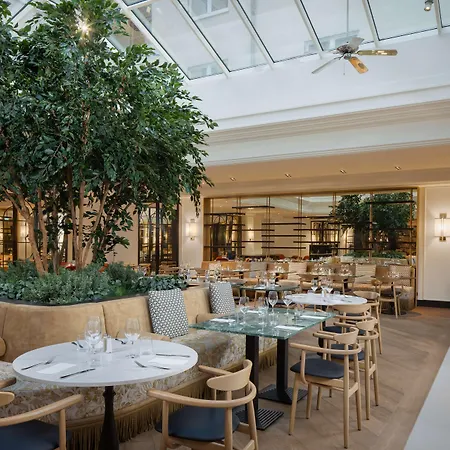 Hilton מלון היידלברג